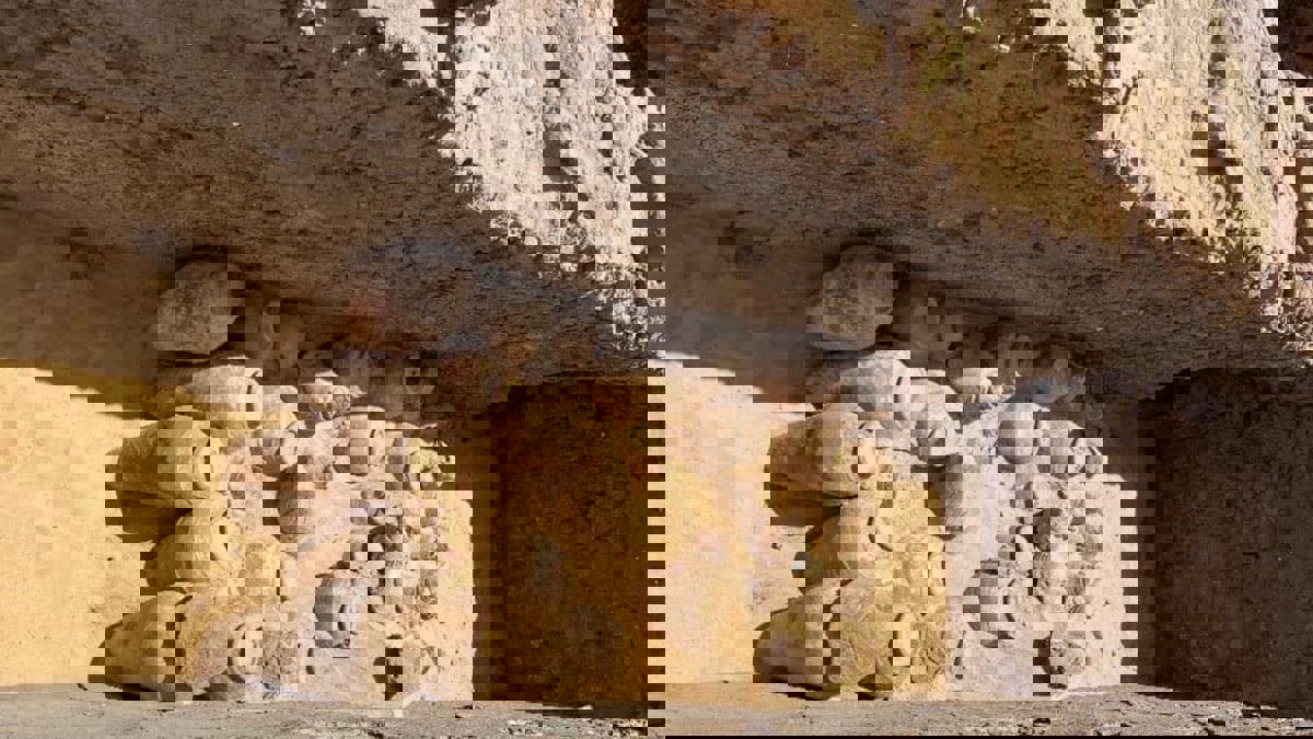 اكتشاف أثري مهم في مصر.. جرار نبيذ معتق عمرها 5 آلاف عام (صور)