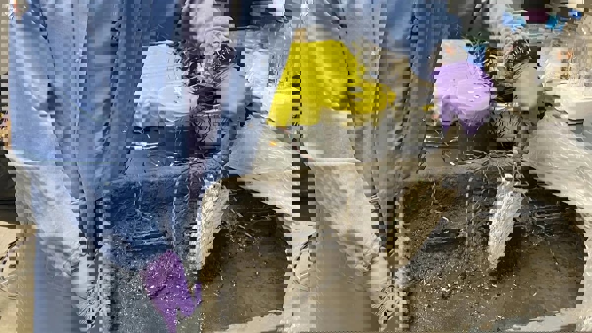 باحثون يستخلصون الكهرباء من ميكروبات تعيش داخل التربة