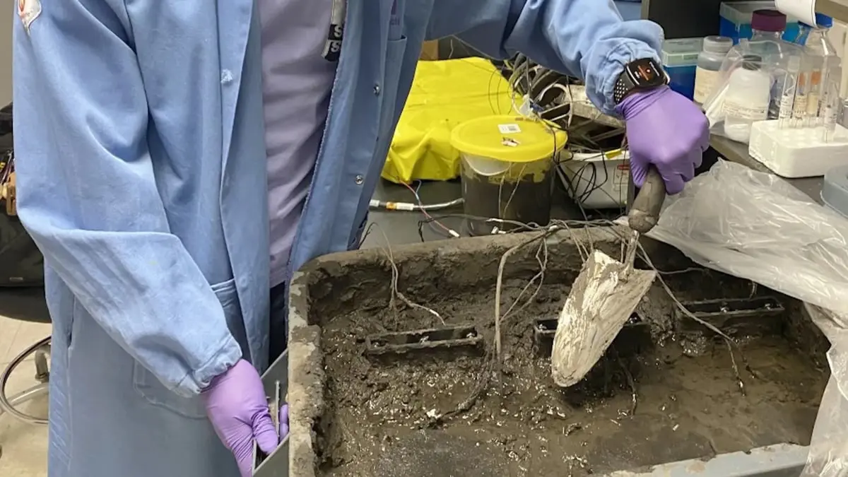 باحثون يستخلصون الكهرباء من ميكروبات تعيش داخل التربة