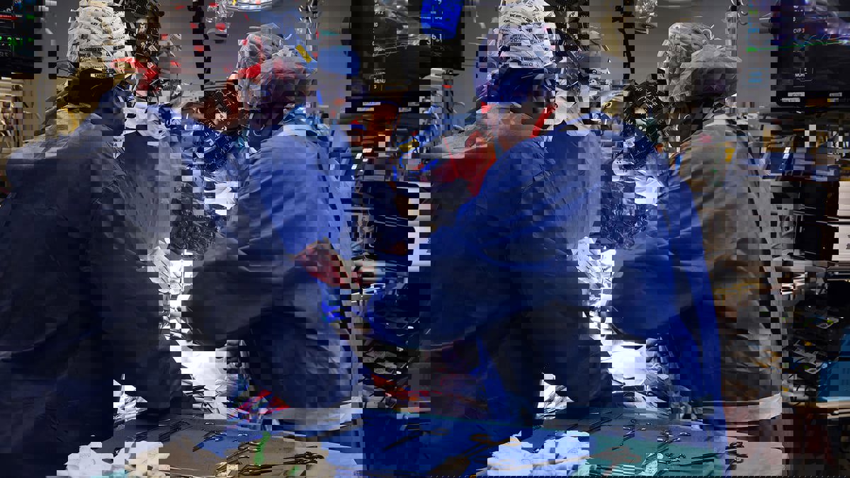 جراحون أمريكيون ينجحون في زراعة قلب خنزير في إنسان