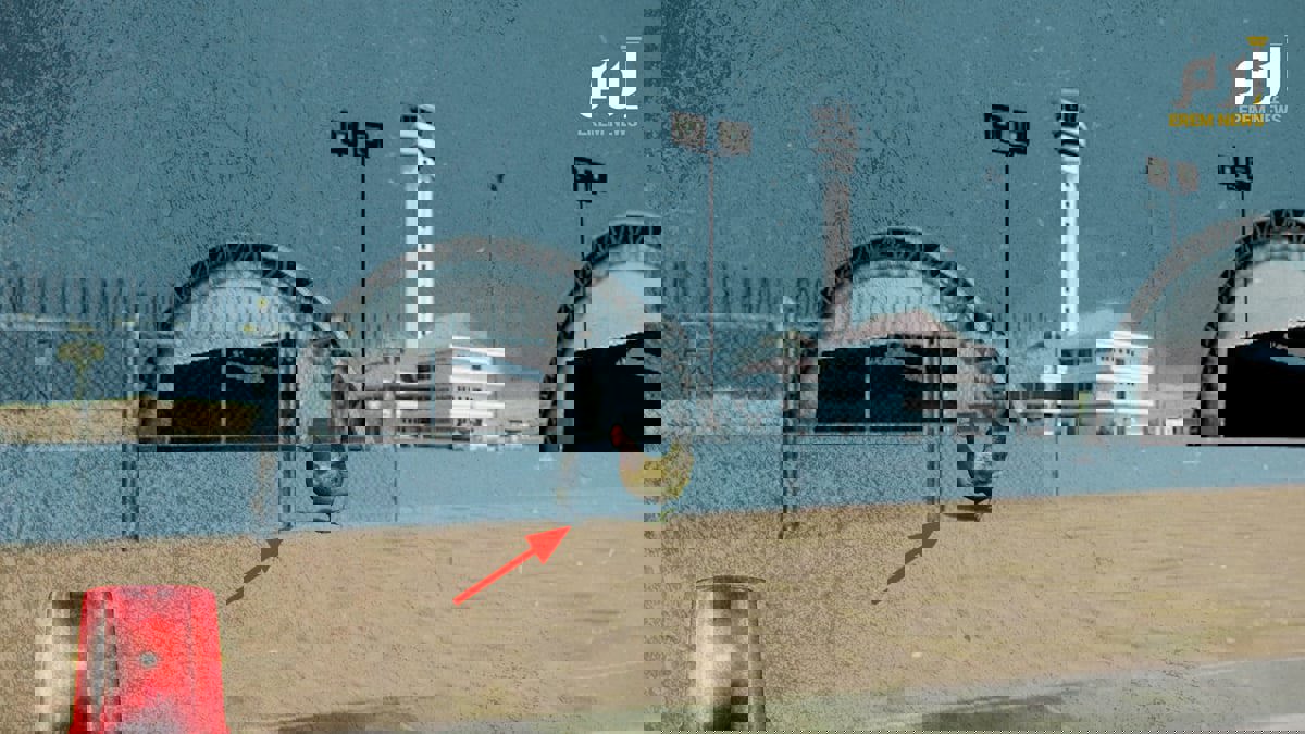 "دجاجة" تتسبب بحالة طوارئ في قاعدة عسكرية 