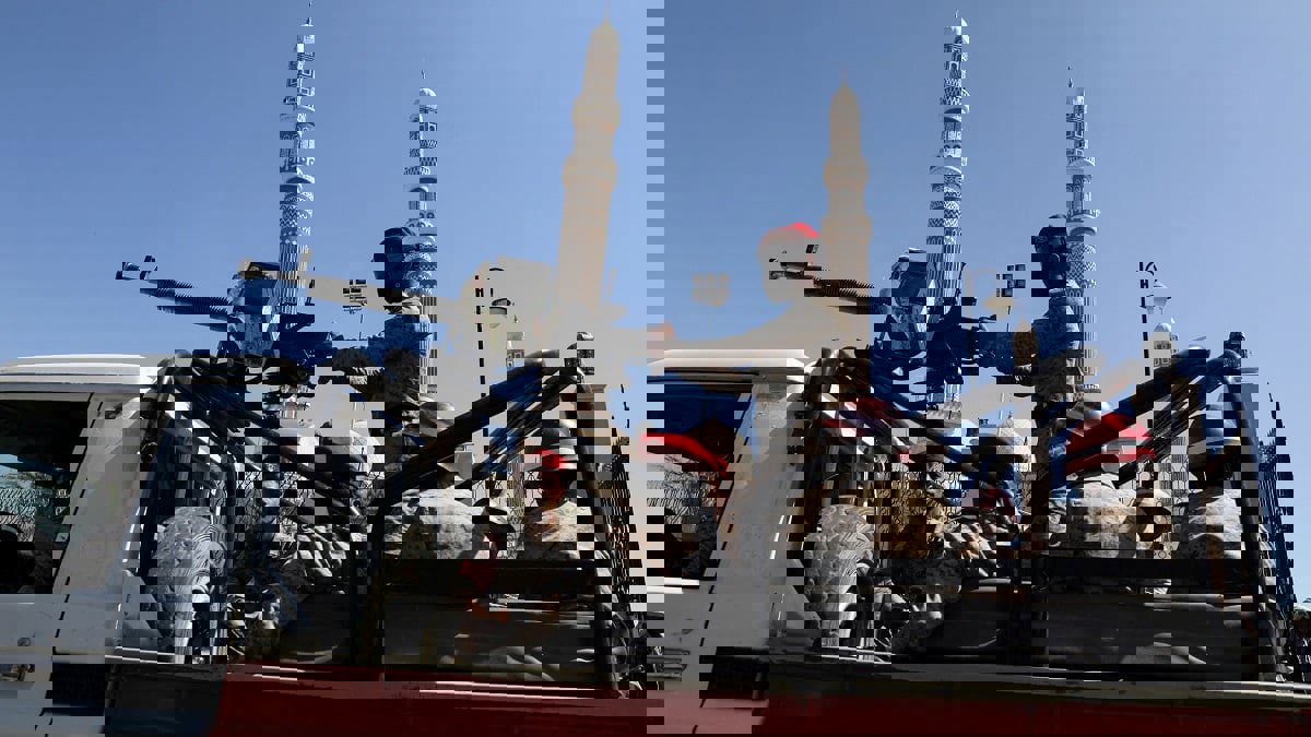 سلطنة عمان تعلن الإفراج عن 14 أجنبيًا كانوا محتجزين في اليمن