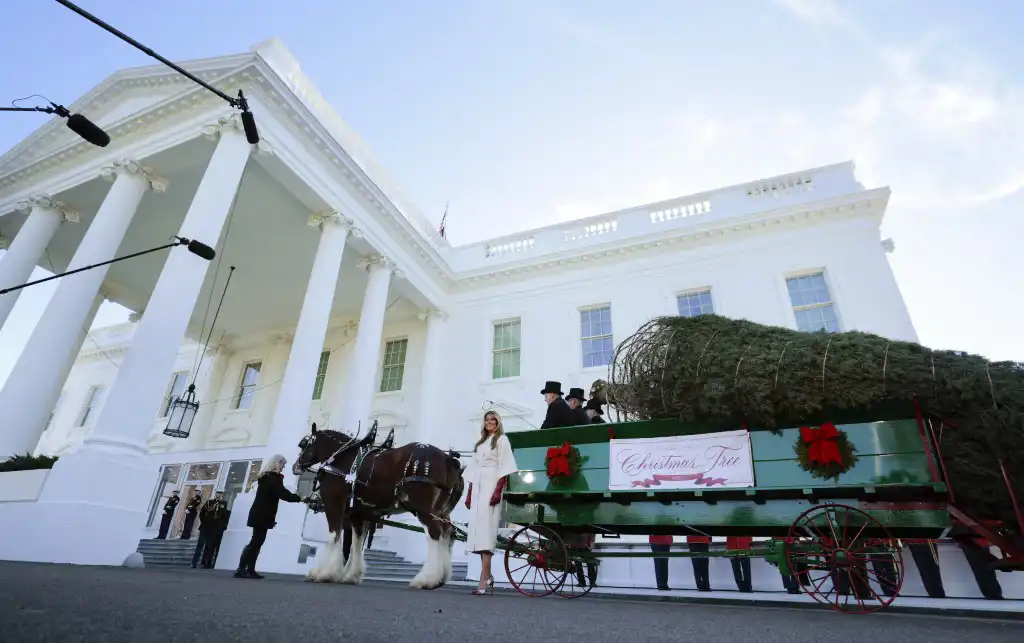 ميلانيا ترامب