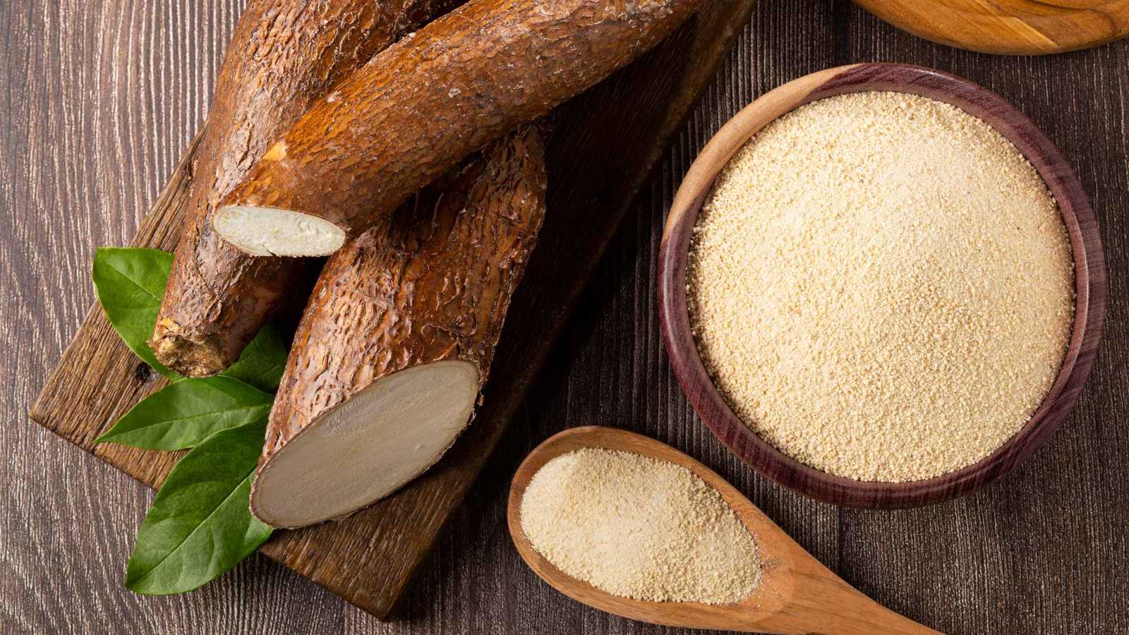 نبات "اليُكا".. هل حقًا يملك معجزات غذائية؟