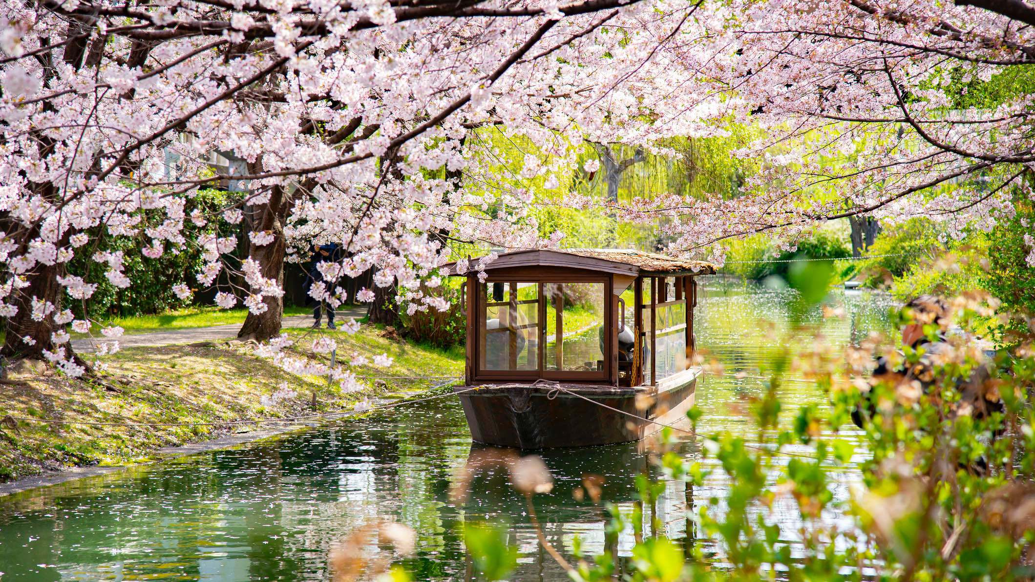 اليابان.. وجهات سياحية لا تفوّت في أرض الشمس المشرقة (صور)