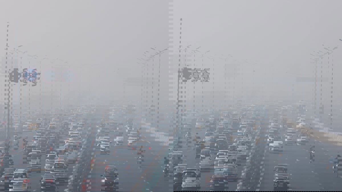 الضباب الكثيف يعيق رحلات الطيران والقطارات في نيودلهي
