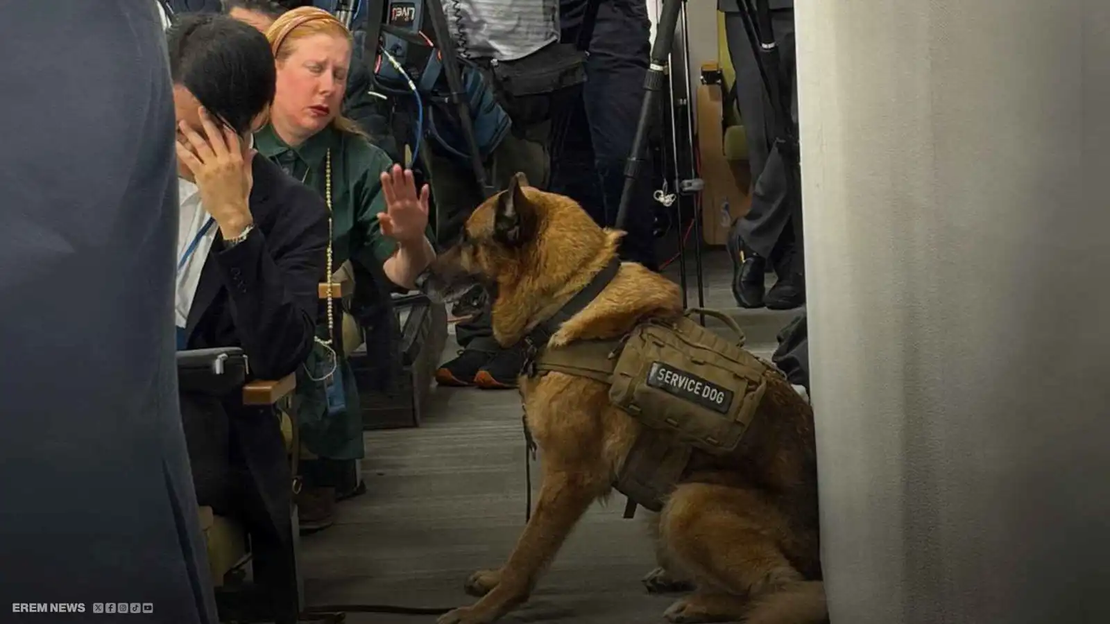 في الأمم المتحدة.. كلب لافروف يرعب الصحفيين ويخطف المشهد (فيديو إرم)