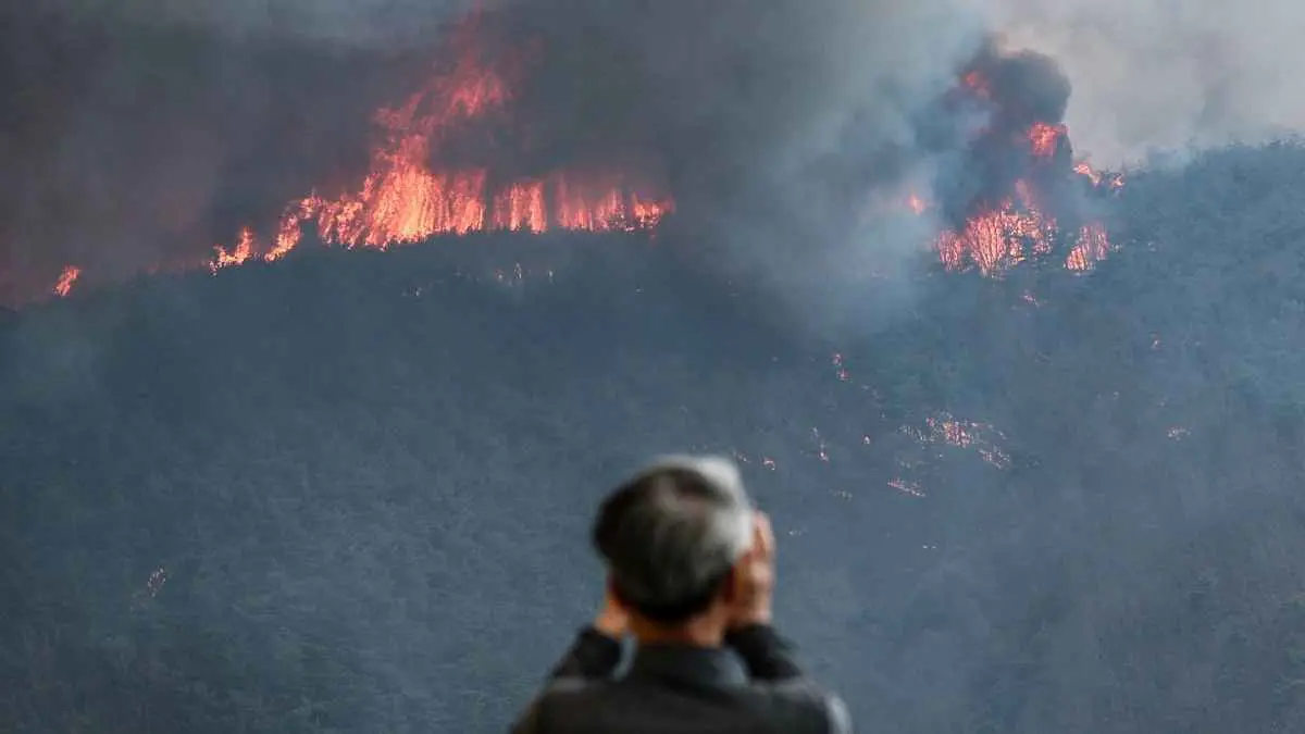 31 قتيلا حصيلة أسوأ حرائق غابات بتاريخ كوريا الجنوبية (صور)