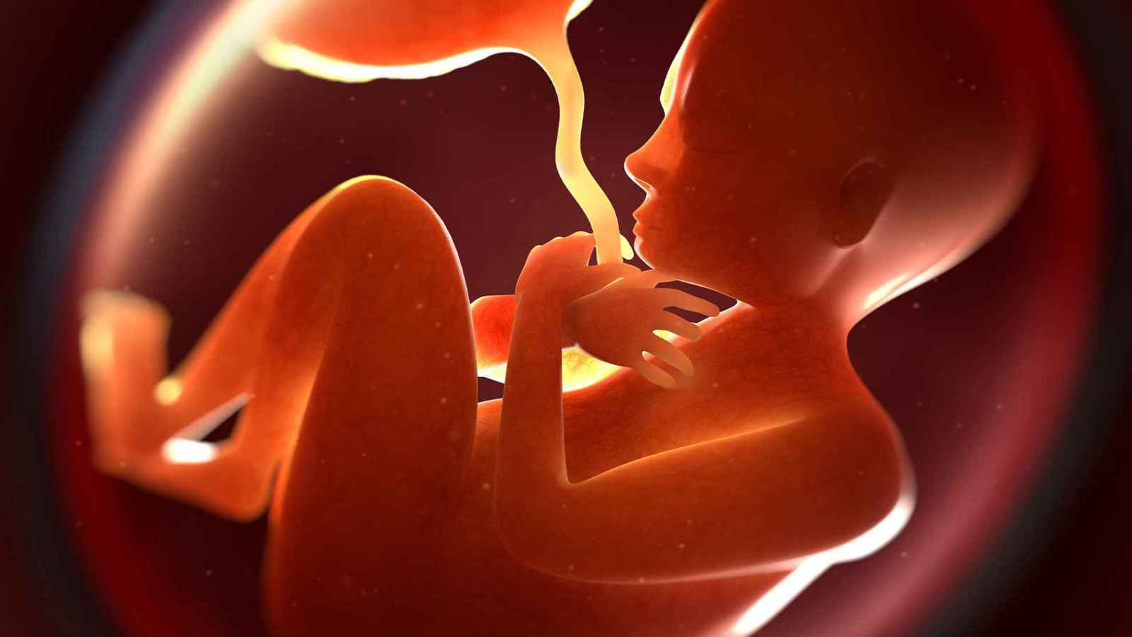 دراسة: خطر الإصابة بالسرطان يتحدد قبل الولادة