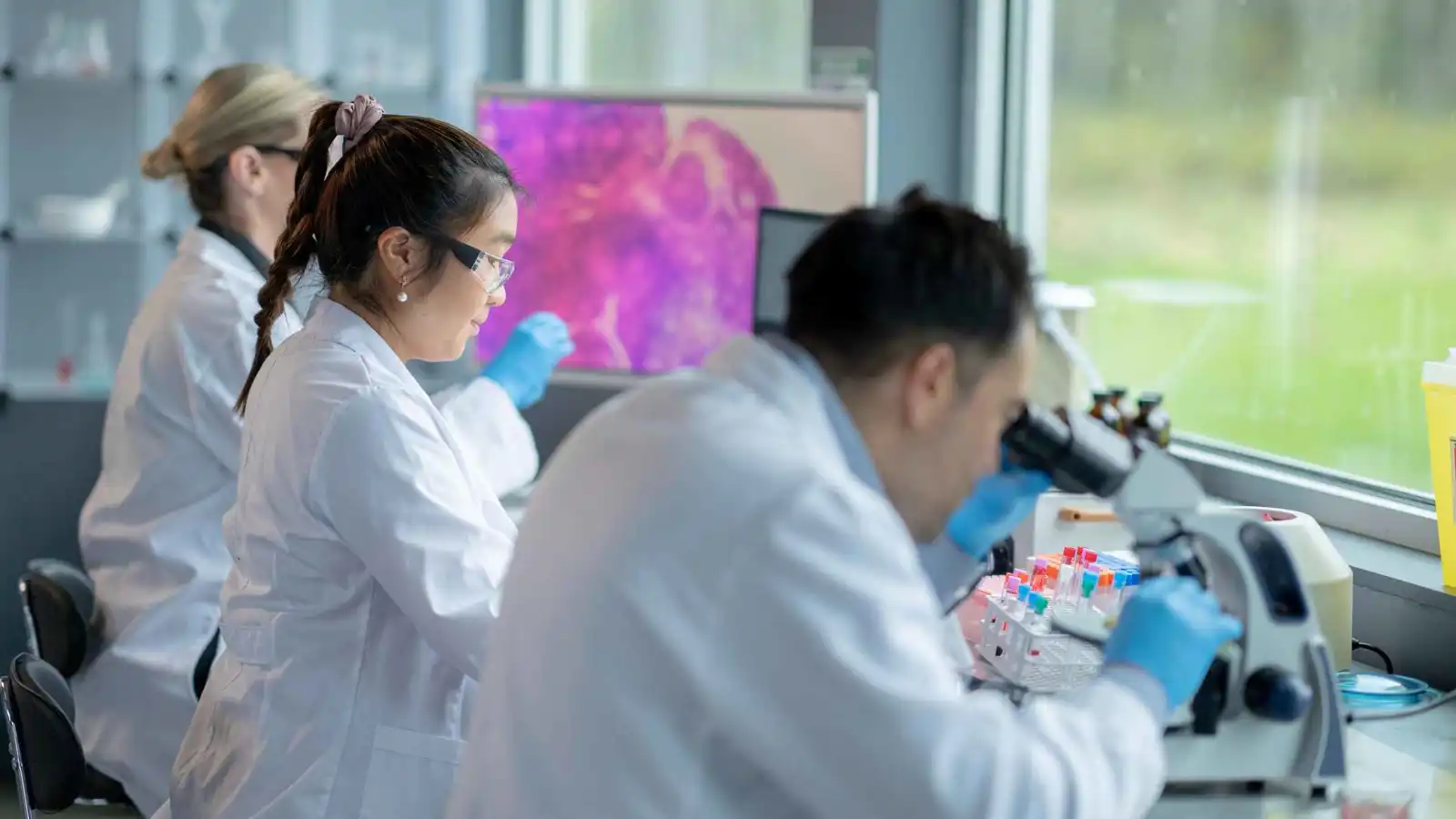 تصنيع مركّب فطري نادر يفتح آفاقًا جديدة لعلاج السرطان