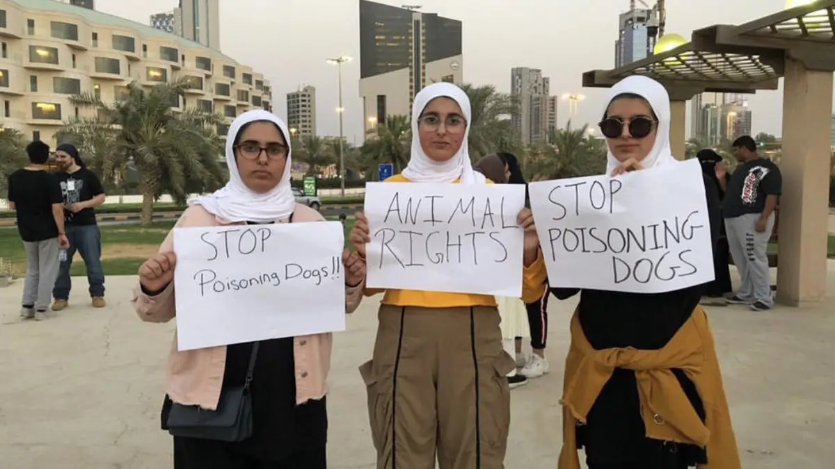 الكويت.. نشطاء يعتصمون أمام البرلمان احتجاجًا على تسميم الكلاب (صور وفيديو)