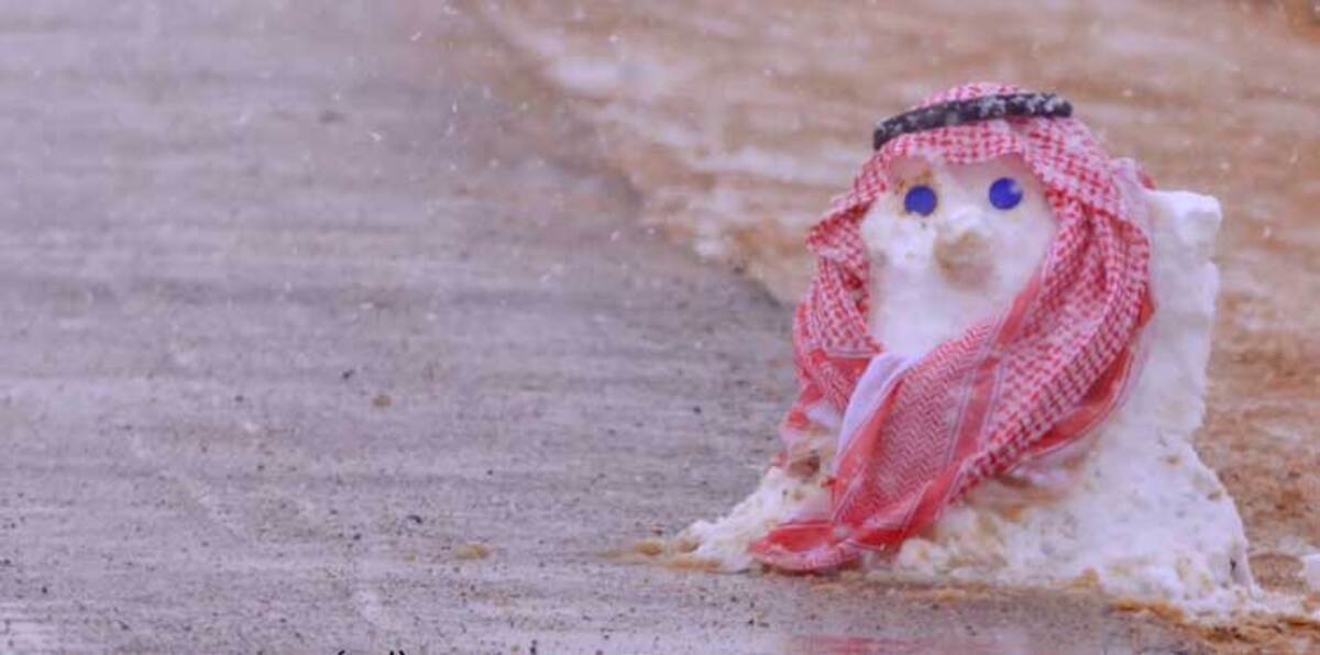 بالفيديو والصور.. السعوديون يستقبلون "الثلوج" بطريقتهم الخاصة