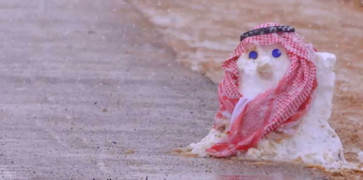 بالفيديو والصور.. السعوديون يستقبلون "الثلوج" بطريقتهم الخاصة