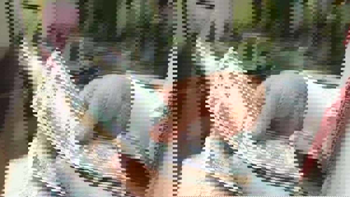 السعودية تعتزم إصدار سندات دولية تتجاوز 19 مليار دولار