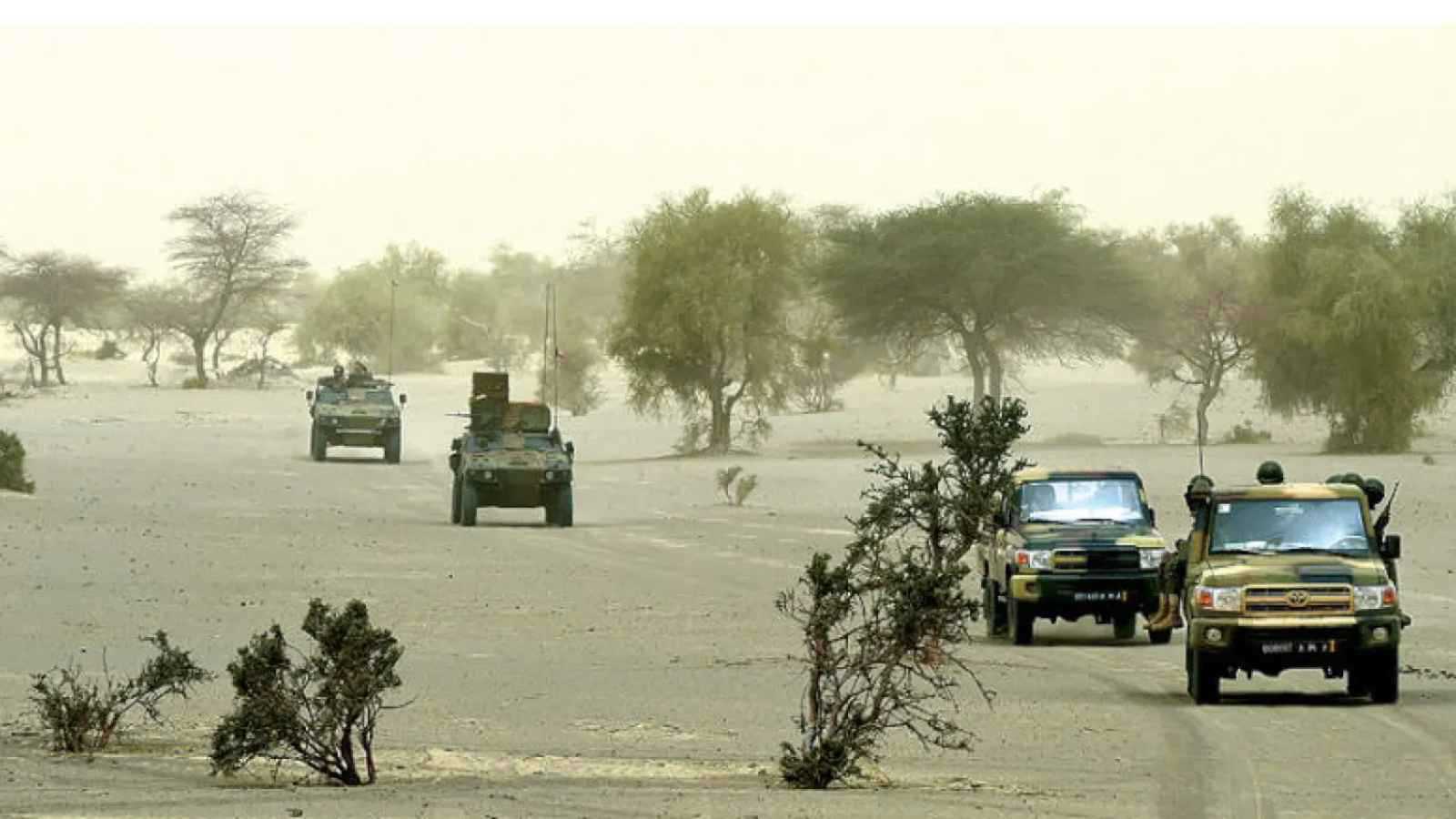 الجماعات المسلحة تستغل "ستارلينك" لتعزيز قدراتها في الساحل الإفريقي