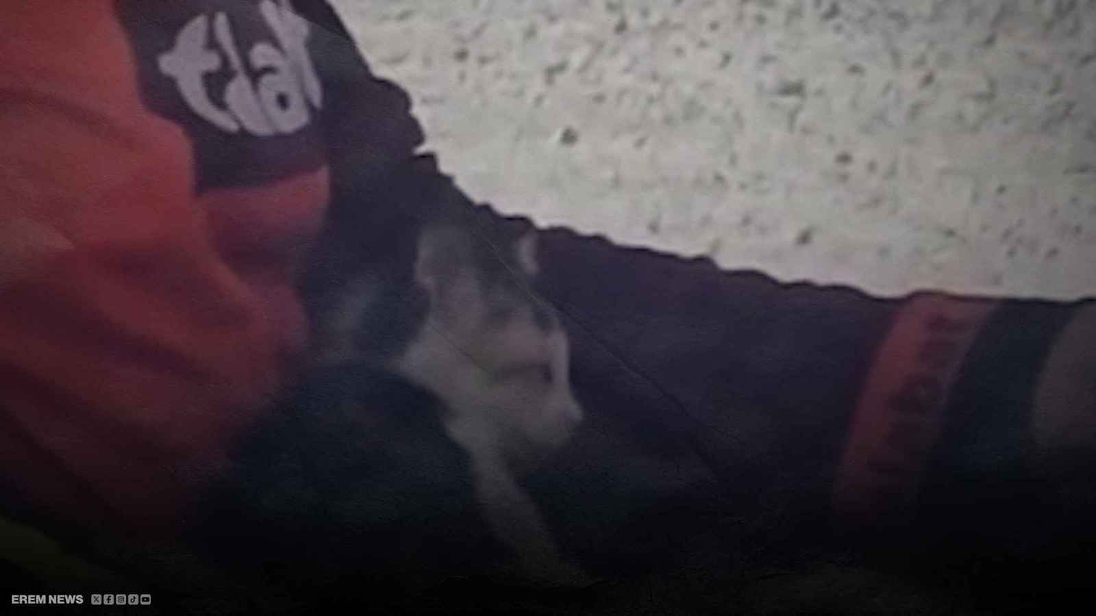 كانت تلفظ أنفاسها.. عامل توصيل ينقذ قطة ويلهب مواقع التواصل (فيديو إرم)