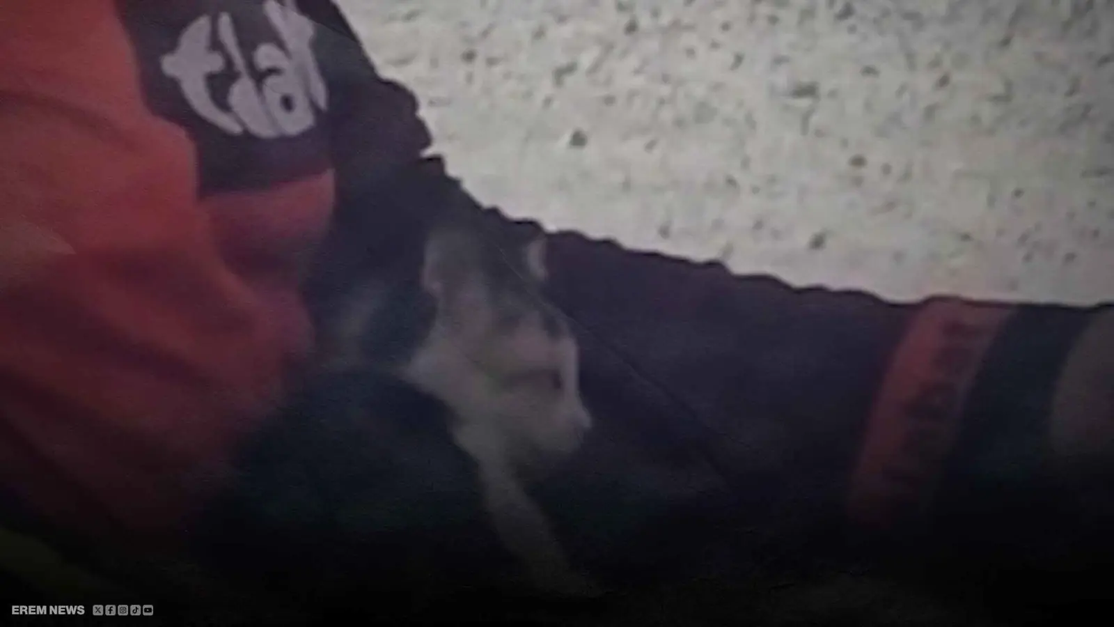 كانت تلفظ أنفاسها.. عامل توصيل ينقذ قطة ويلهب مواقع التواصل (فيديو إرم)