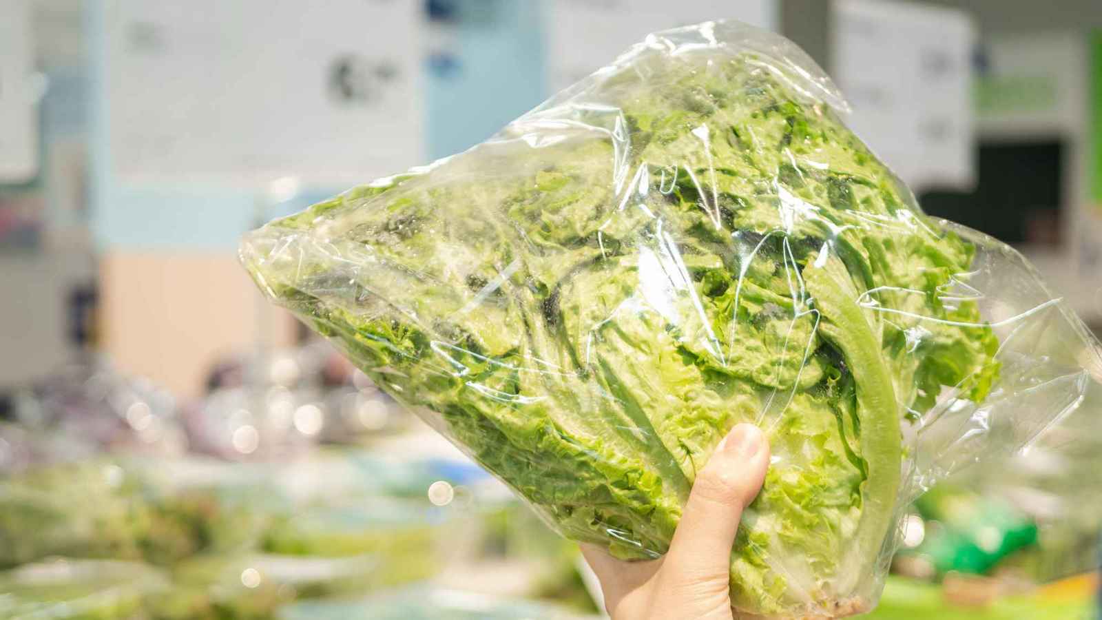 ماء الخس يجتاح "تيك توك" كحل للأرق.. ماذا قال الخبراء؟