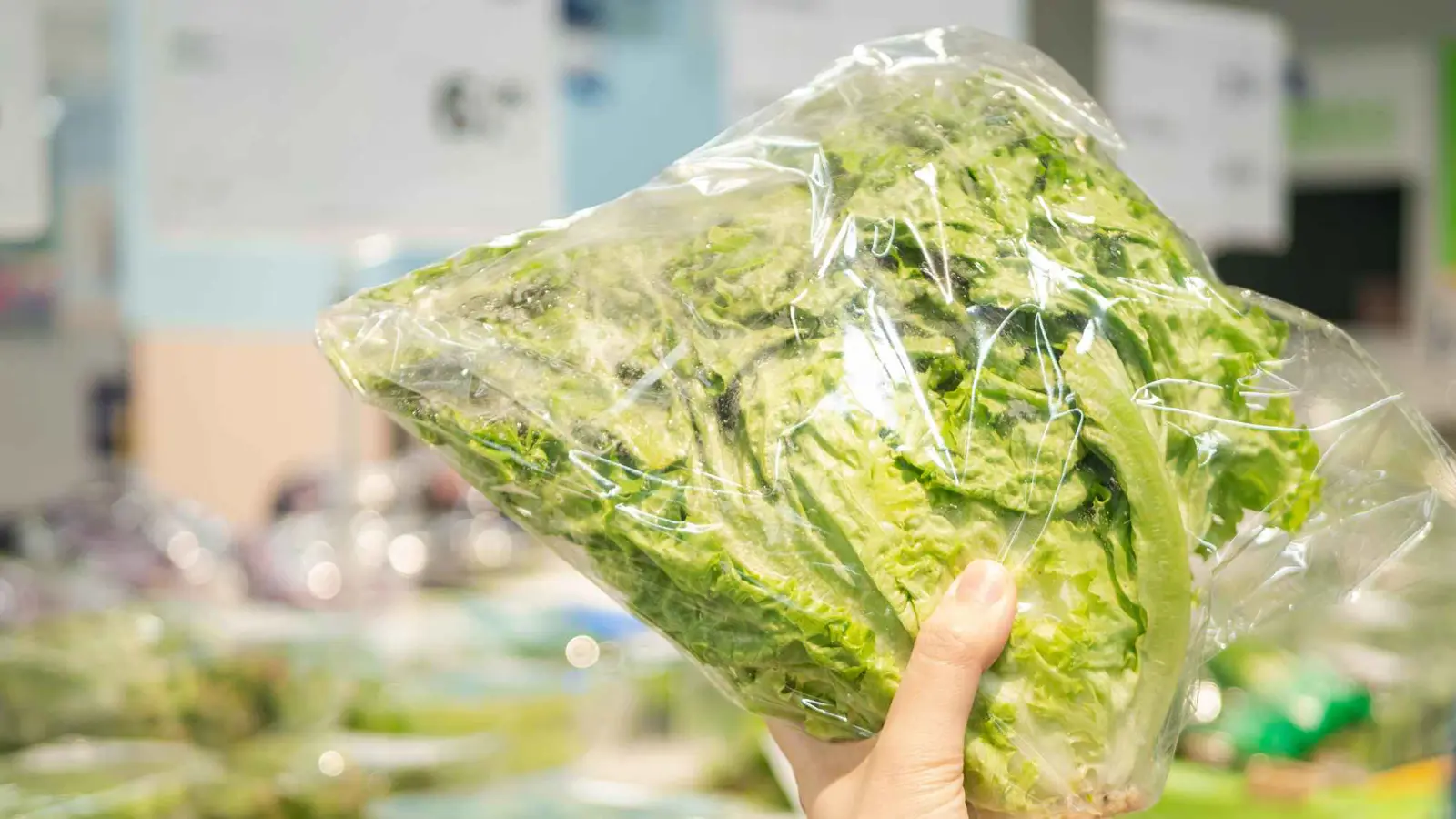 ماء الخس يجتاح "تيك توك" كحل للأرق.. ماذا قال الخبراء؟