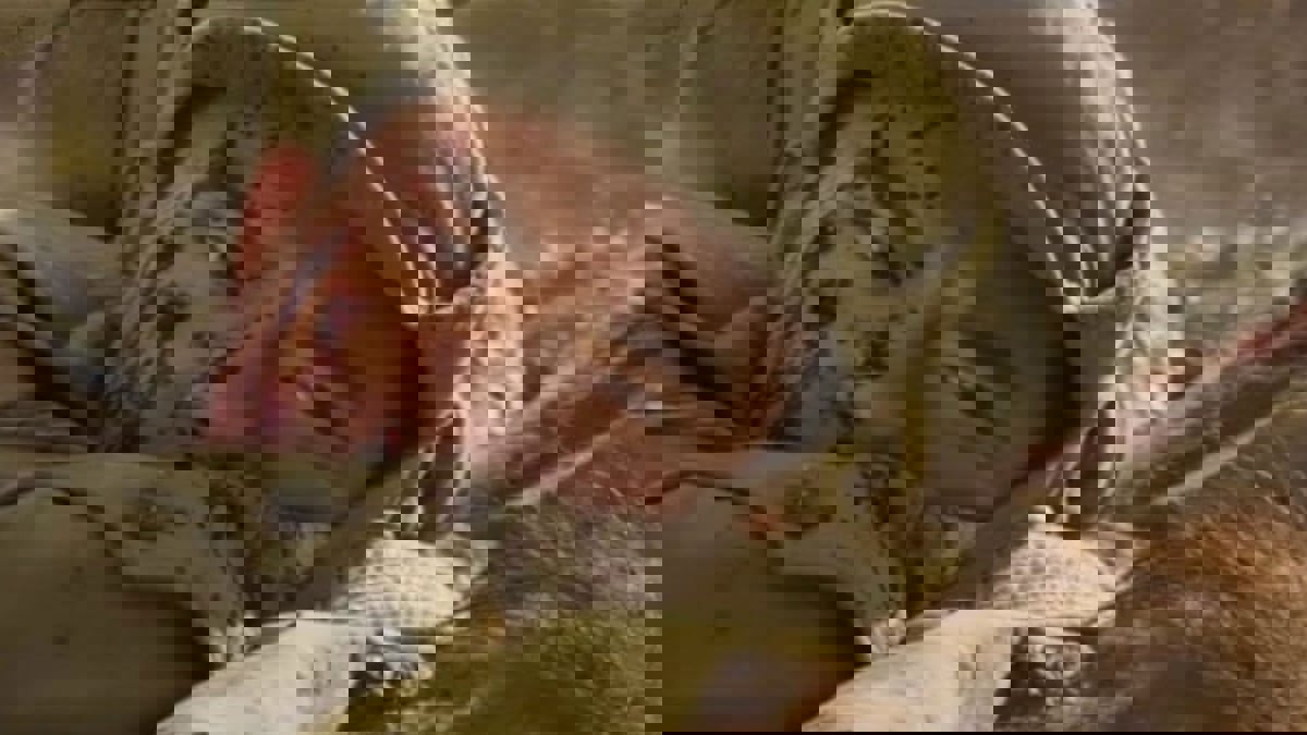 "معركة بحيرة تشانغجين".. هزيمة أمريكية "سينمائية" أمام الصين