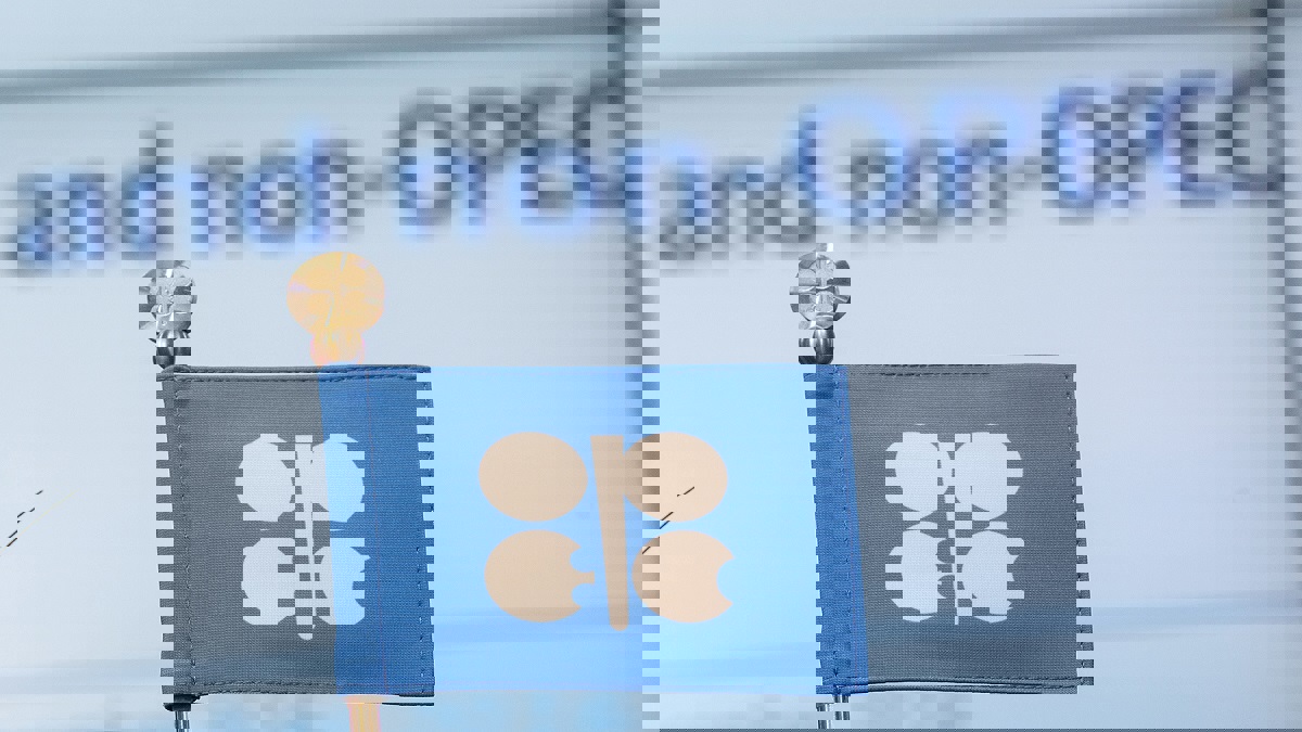 تراجع إنتاج نفط أوبك في يناير