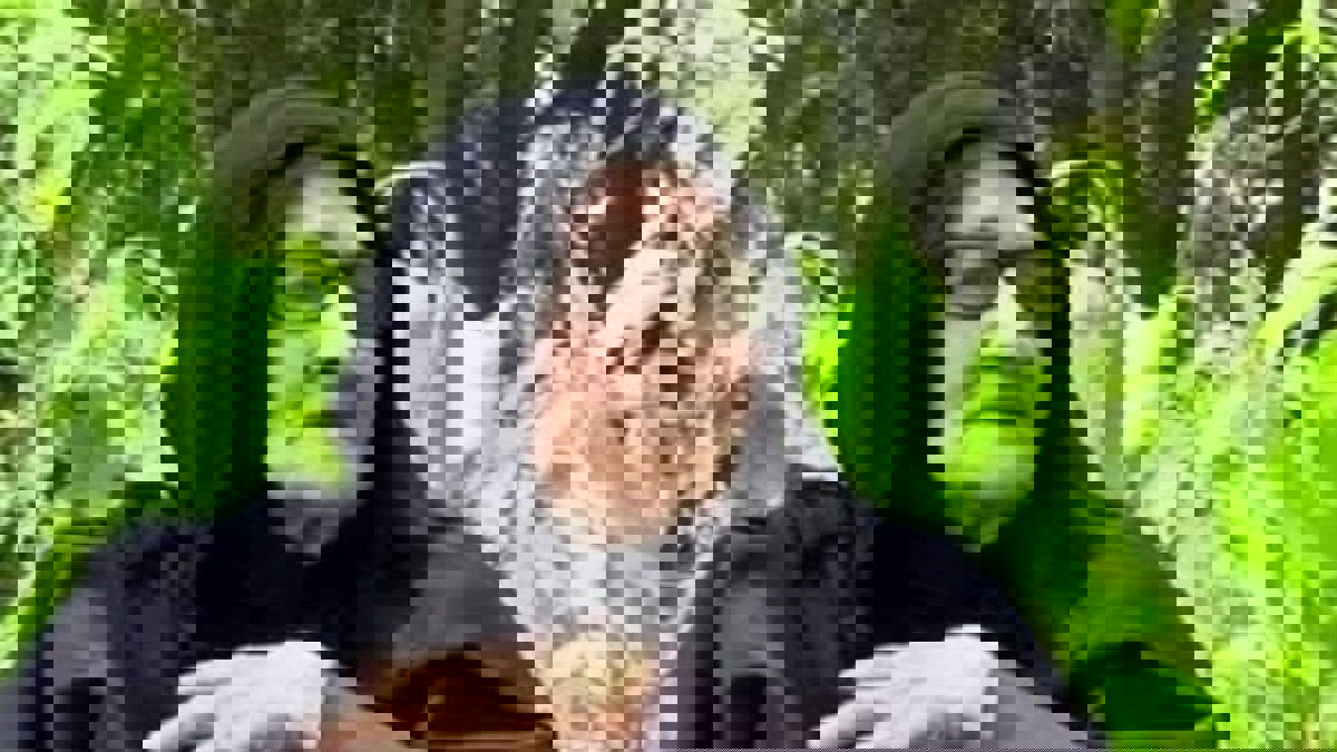 أول من حملت السلاح ضد الاحتلال البريطاني.. وفاة الفدائية المصرية آمنة دهشان عن عمر 95 عاما