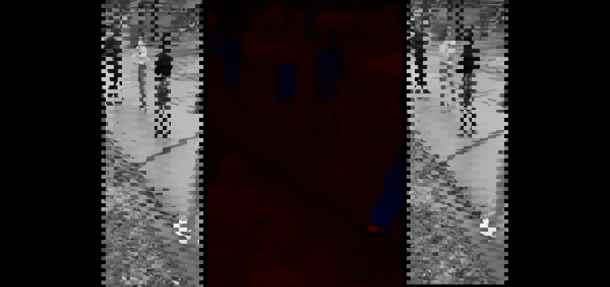 بعد معركة عنيفة.. طالبة تتعرض لإصابات بليغة على يد زميلتها (فيديو)