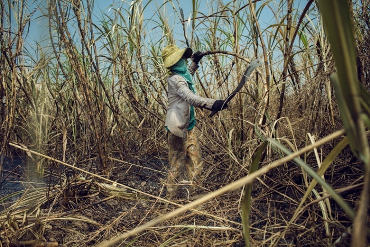 هل تعرف ما هو السكر الممزوج بالدم؟ اسأل بيبسي وكوكا كولا