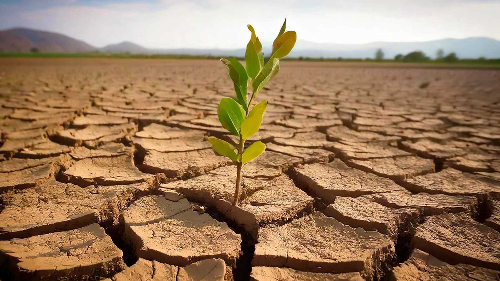 كيف غيرت الحرارة العالمية النباتات منذ ملايين السنين؟