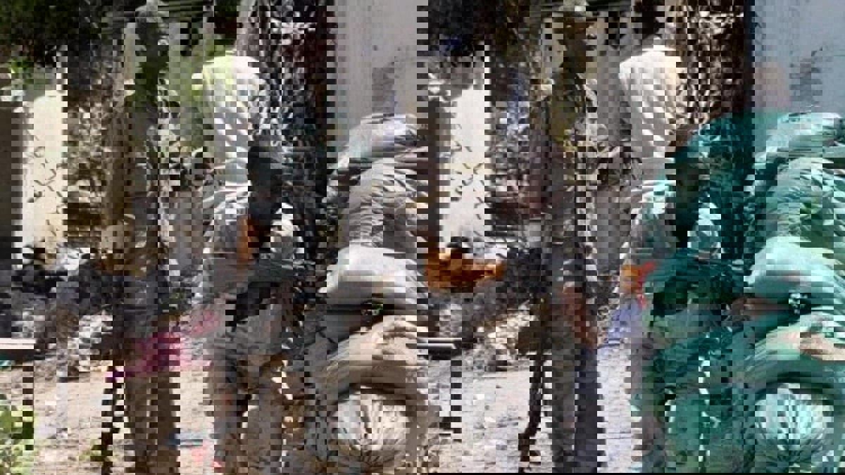 مقتل 17 شخصا على الأقل في هجوم شمال شرق الكونغو