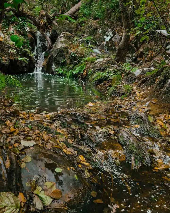 وادي الزان- عين دراهم 