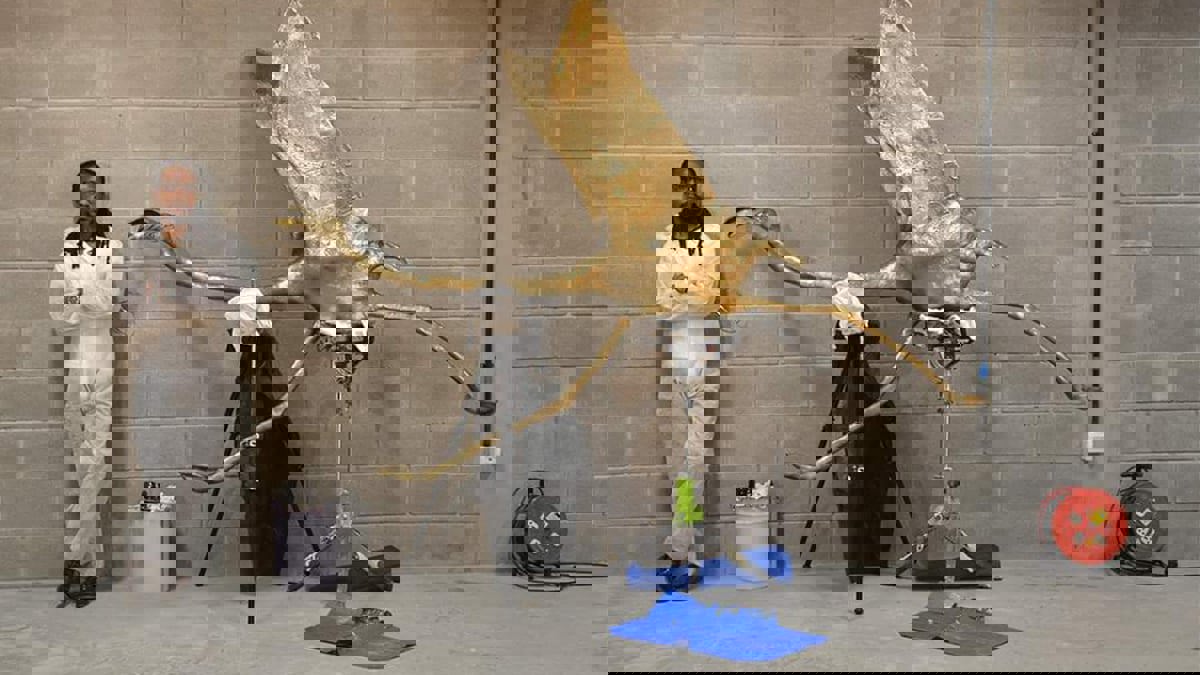 البهاما في إكسبو دبي.. حكاية طيور الفلامنجو والاحتباس الحراري