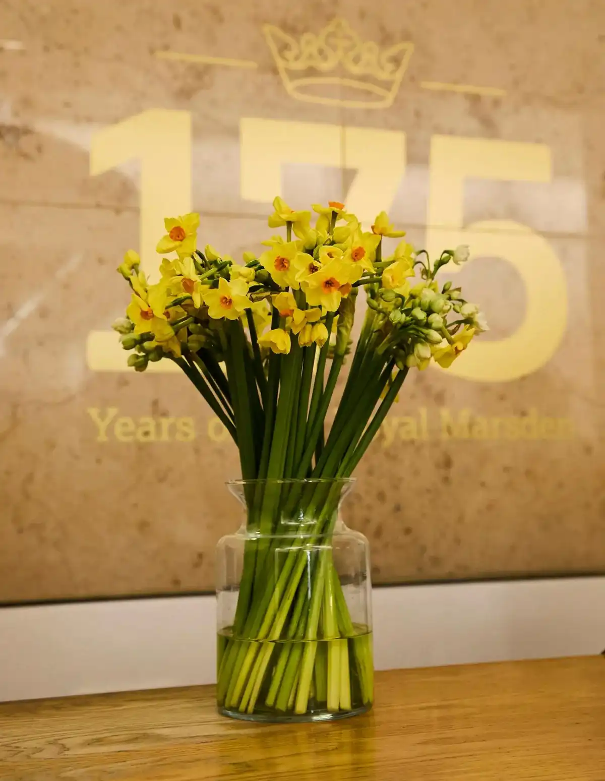 هدية أميرة ويلز للمستشفى الذي عالجها من السرطان