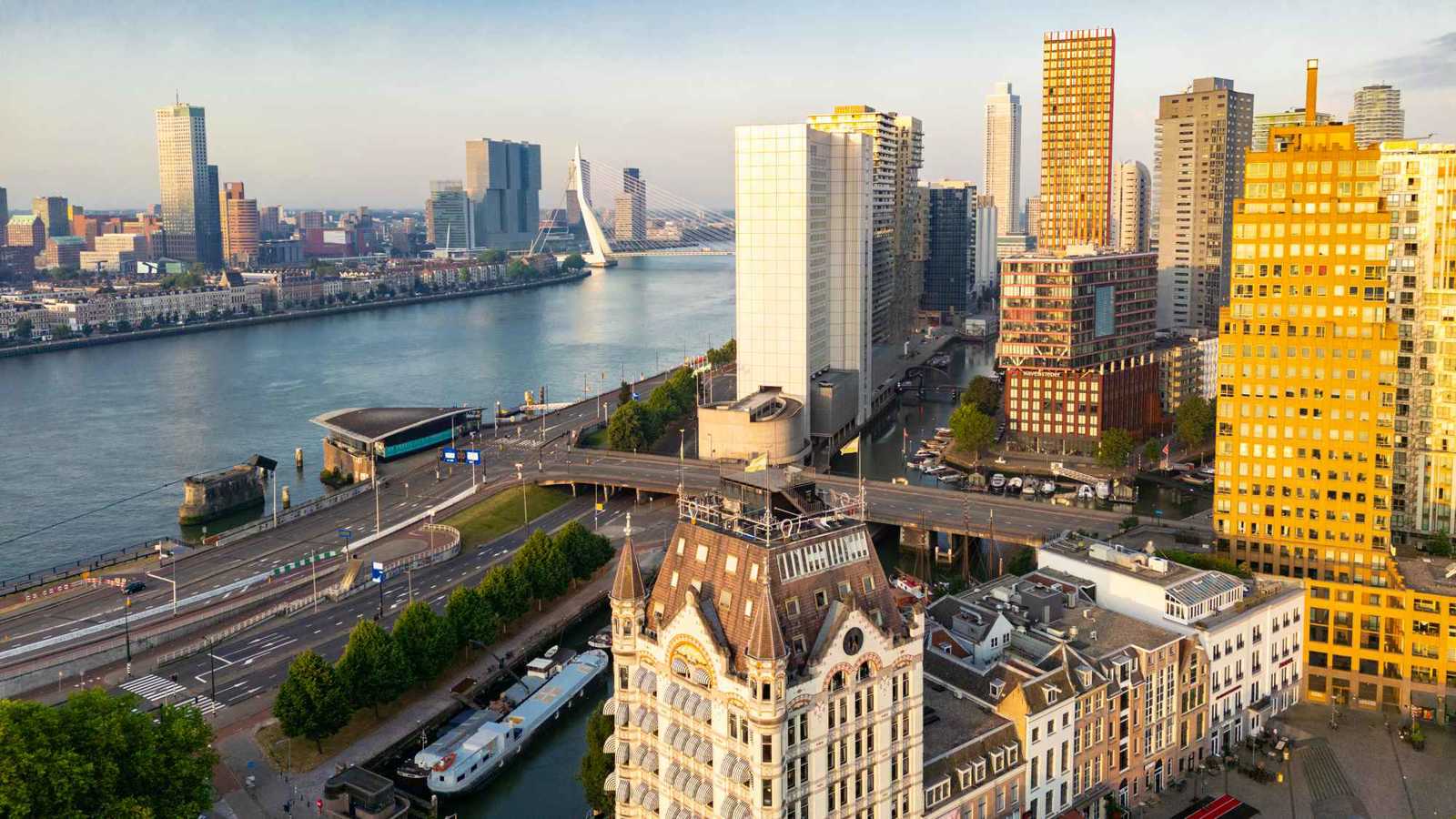 بسبب "فلتر" ذكاء اصطناعي.. طرد سياسية هولندية من حزبها (صورة) 