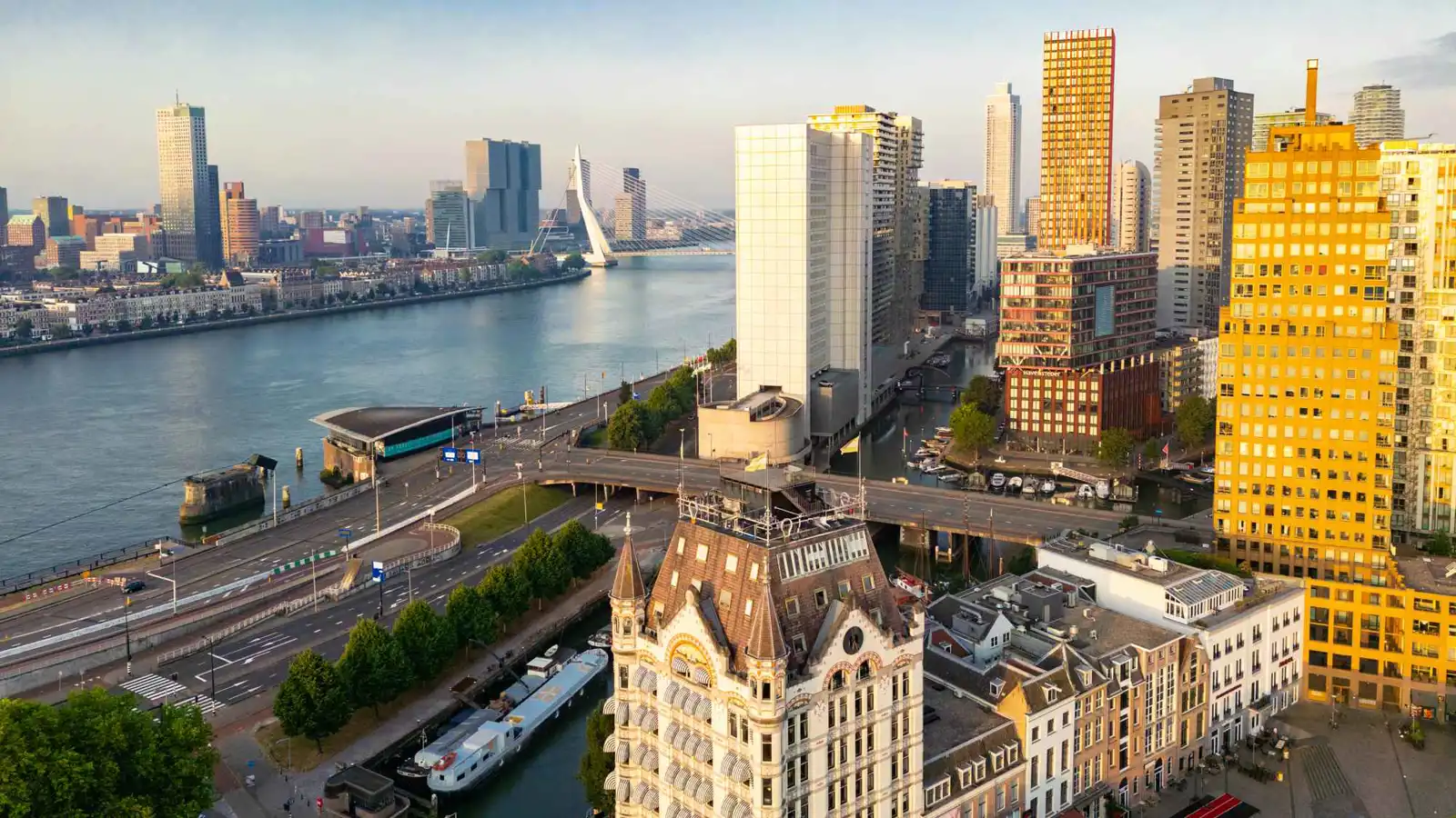 بسبب "فلتر" ذكاء اصطناعي.. طرد سياسية هولندية من حزبها (صورة)