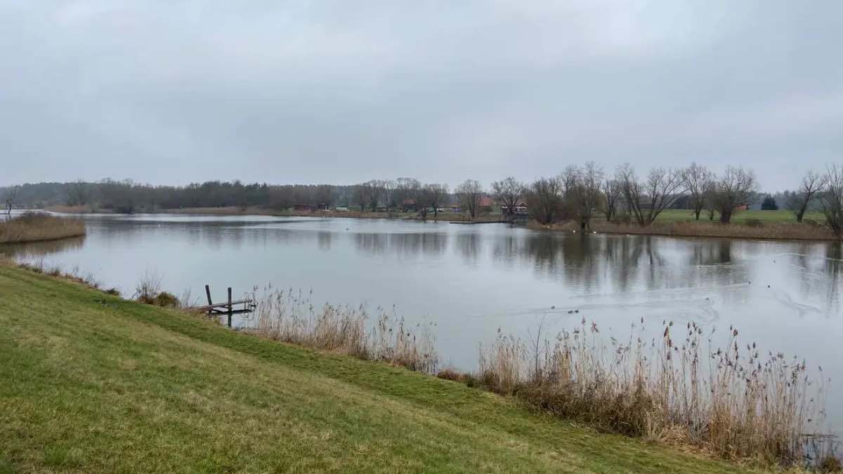 ألمانيا.. نزهة عائلية تنتهي بكارثة مفجعة