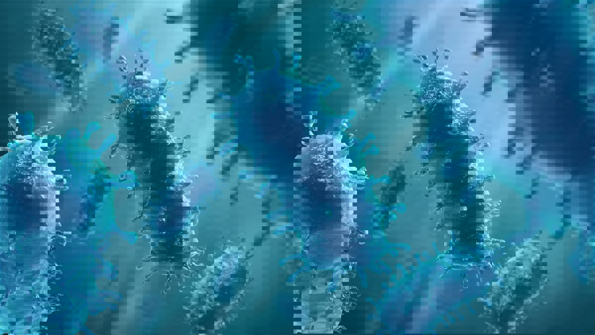 الحالة الأولى منذ 30 عامًا.. وفاة مغربي بـ"داء الكلب" في إسبانيا