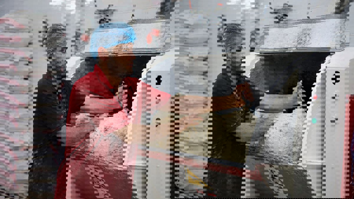 مدافع الحرب الأوكرانية تسكت مطاحن الدقيق في غزة