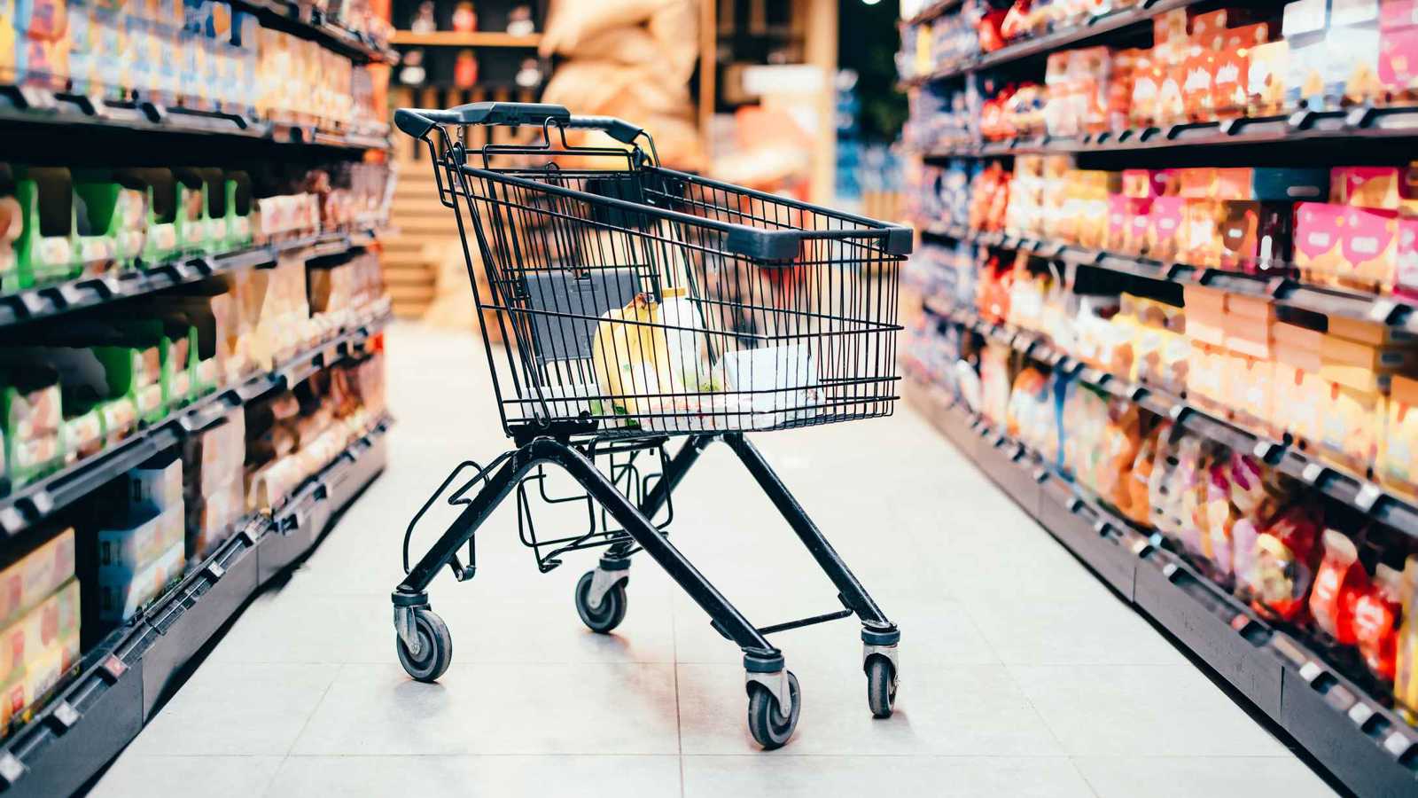 عربات التسوق المهجورة.. كيف تهدد البيئة؟