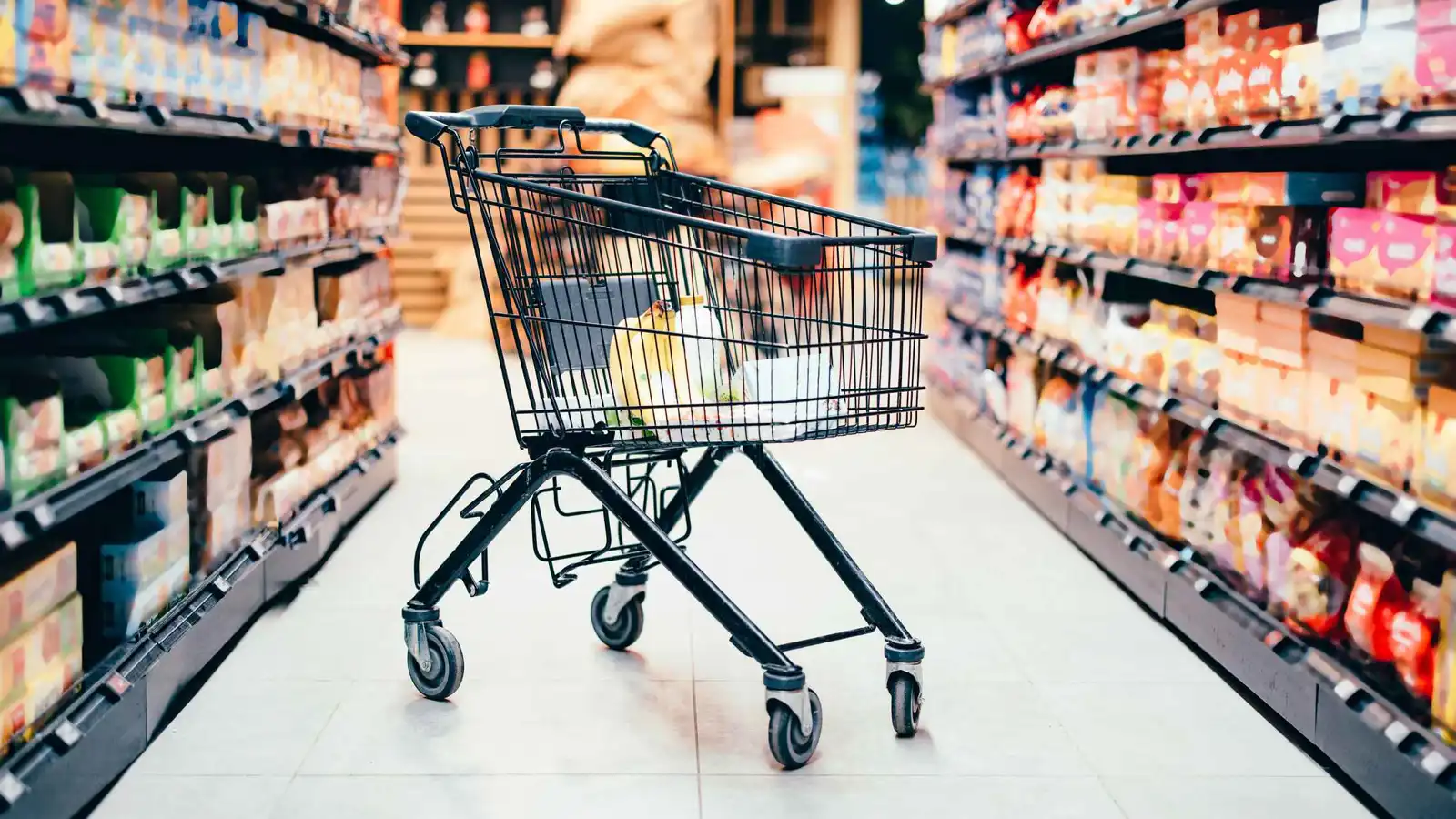 عربات التسوق المهجورة.. كيف تهدد البيئة؟