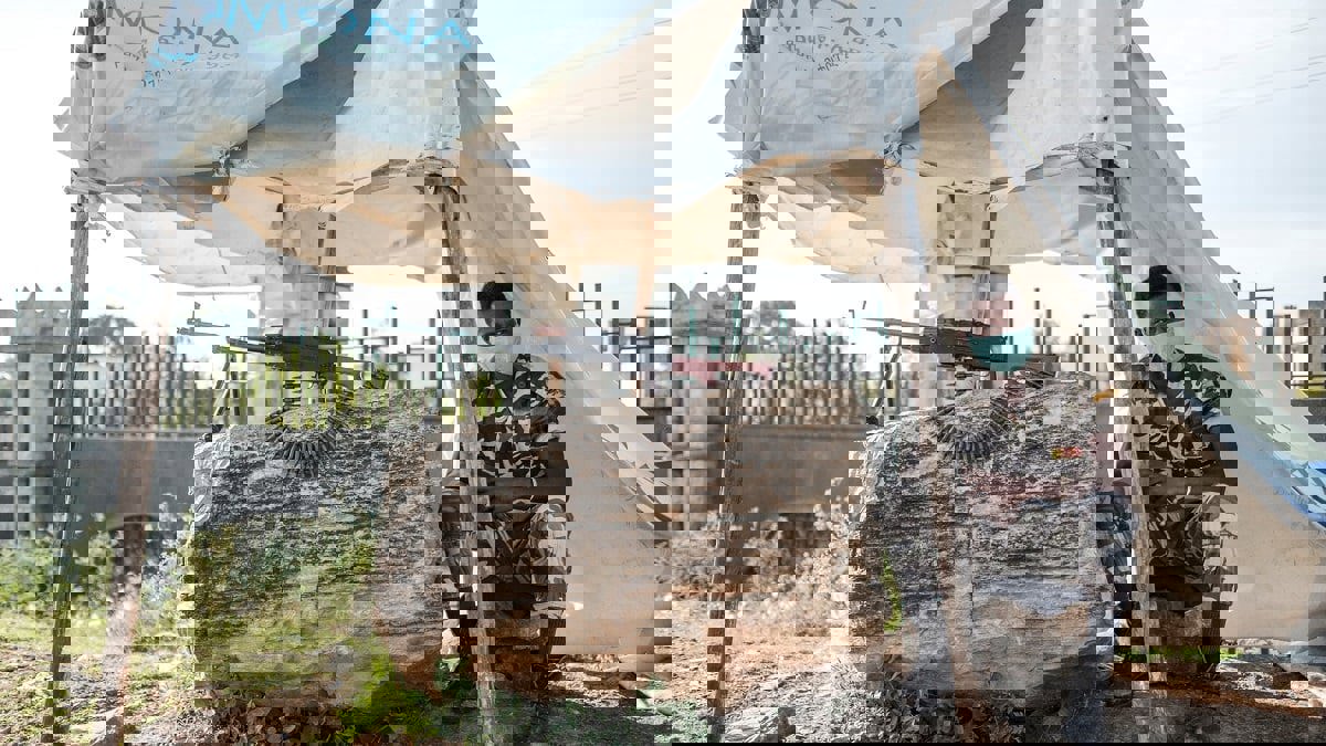 رغم أنباء عن مقتل المئات في تيغراي.. رئيس وزراء إثيوبيا: لا نتجه إلى حرب أهلية