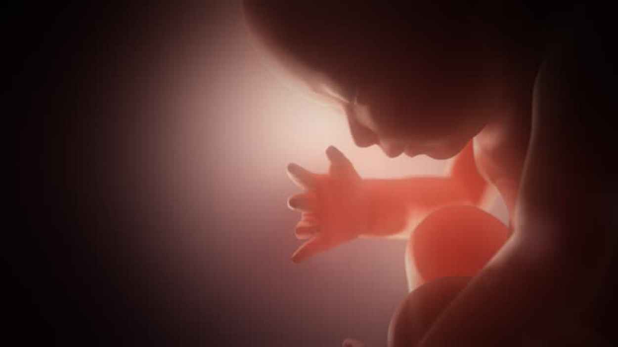 "حيرت الأطباء".. استخراج جنين من بطن رضيع أفغاني