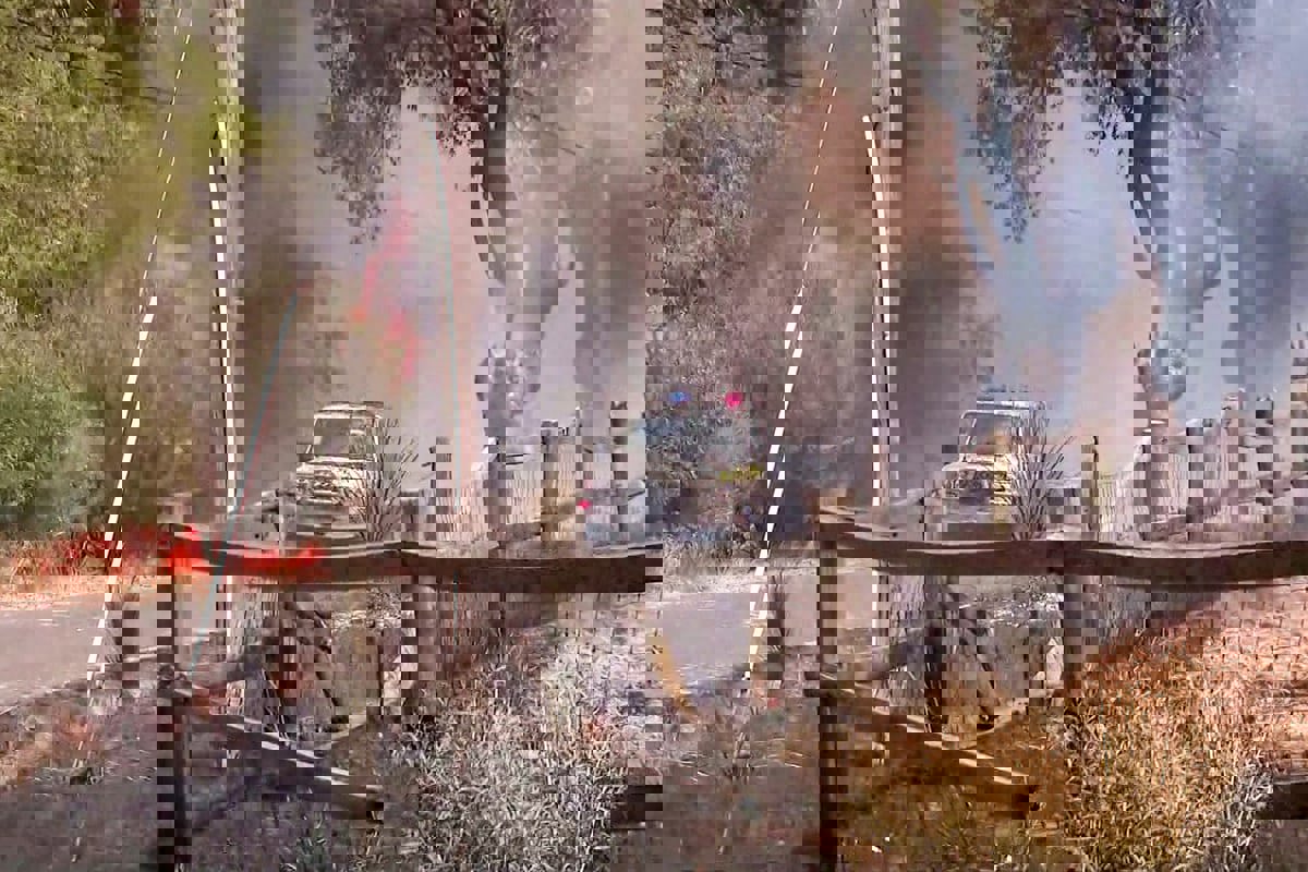 دعوة سكان "أستراليا الغربية" لإخلاء منازلهم مع احتدام الحرائق