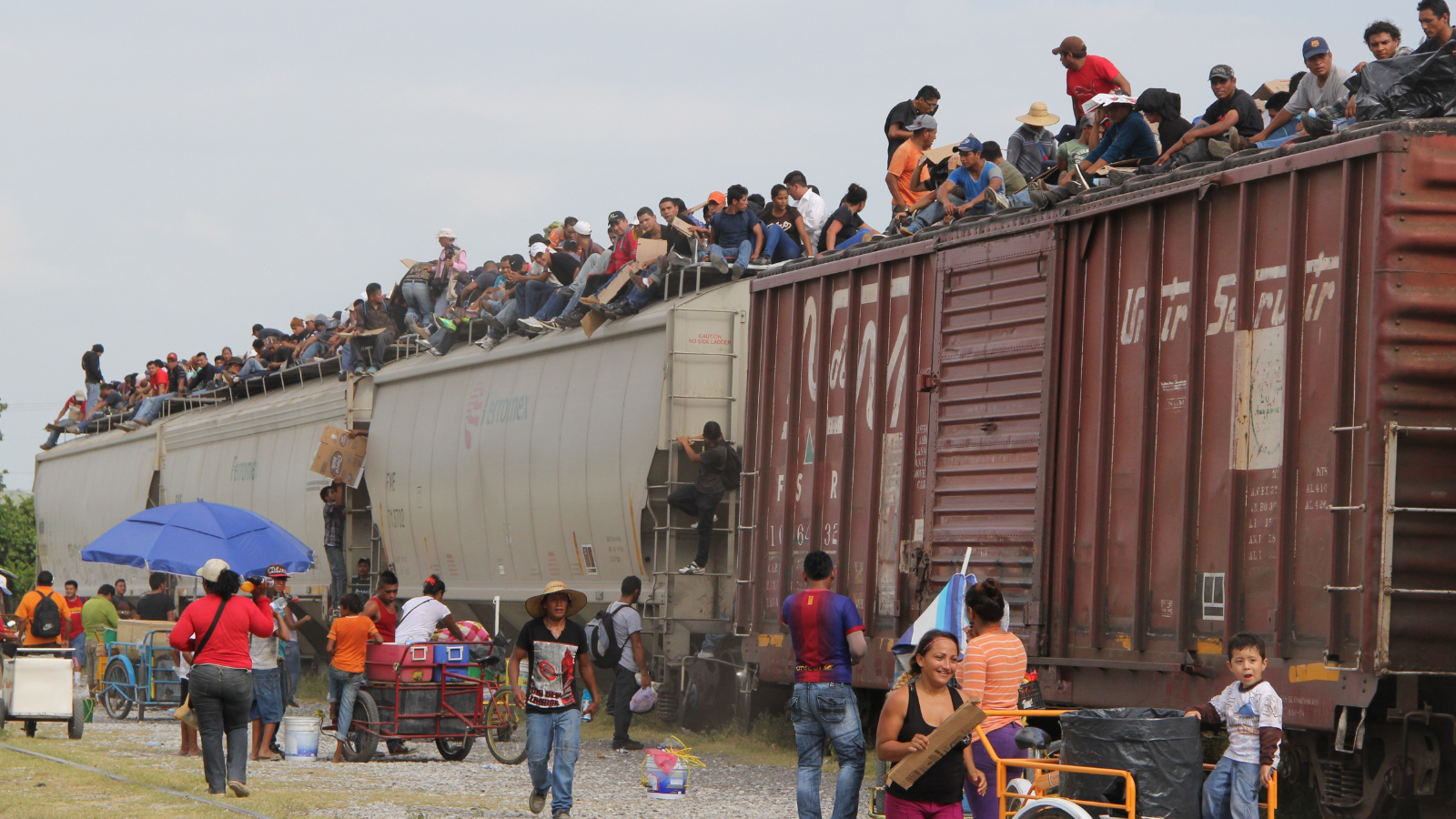إدارة ترامب تقيل موظفي قسم الحقوق المدنية بوزارة الأمن الداخلي