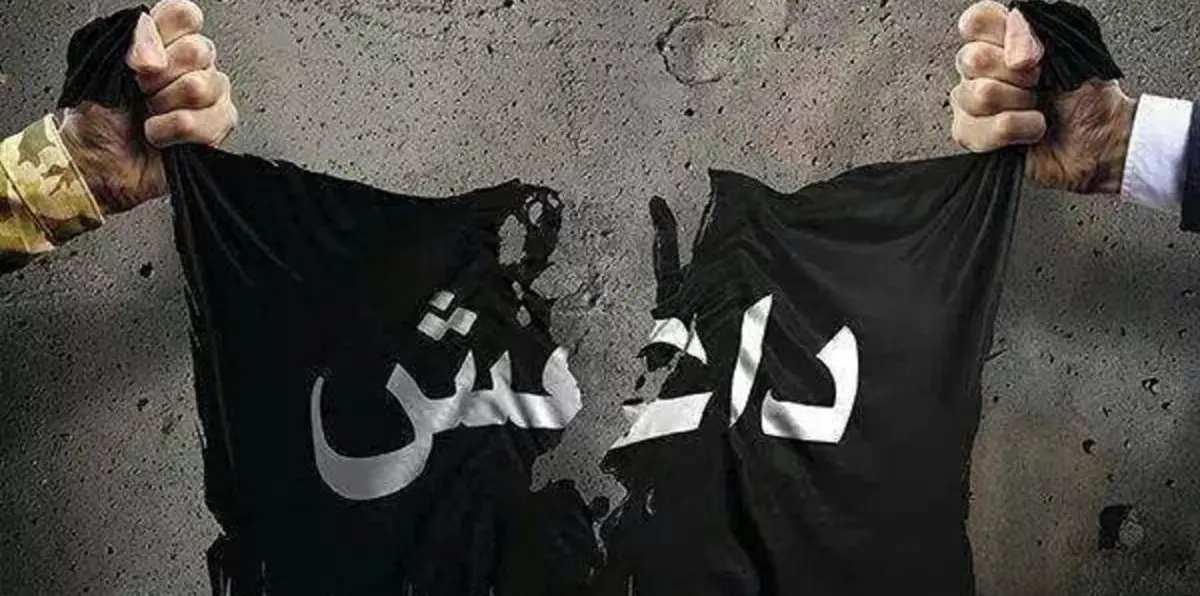 خبراء أمن أمريكيون: إعلان الانتصار على داعش سابق لأوانه