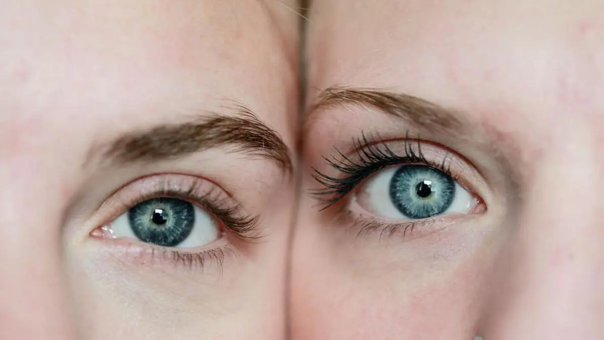 رغم انتفاء القرابة العائلية.. الوجوه المتشابهة تنتمي إلى جينات مشتركة