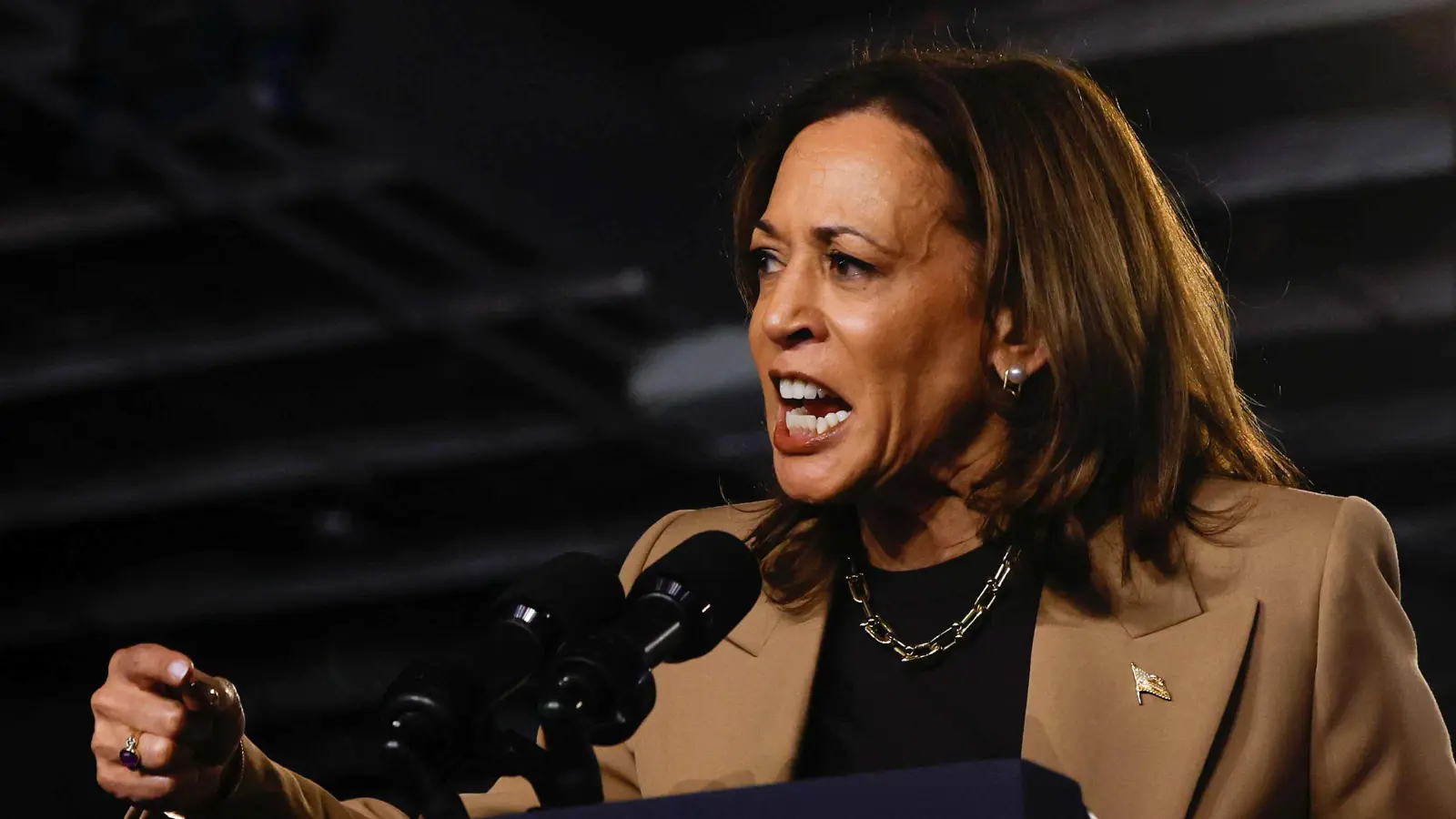 هاريس: ترامب "فاشي" يشيد بهتلر ويسعى إلى سلطة "غير مقيدة"