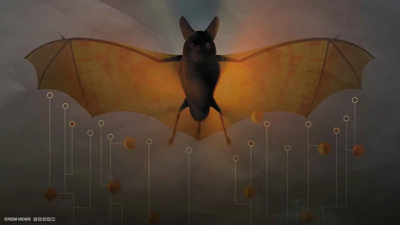 "شبح الجائحة".. فيروس غامض في خفافيش البرازيل يثير الرعب