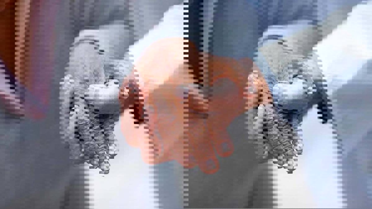 في يومه العالمي.. تعرف على معلومات مغلوطة عن الشلل الرعاش