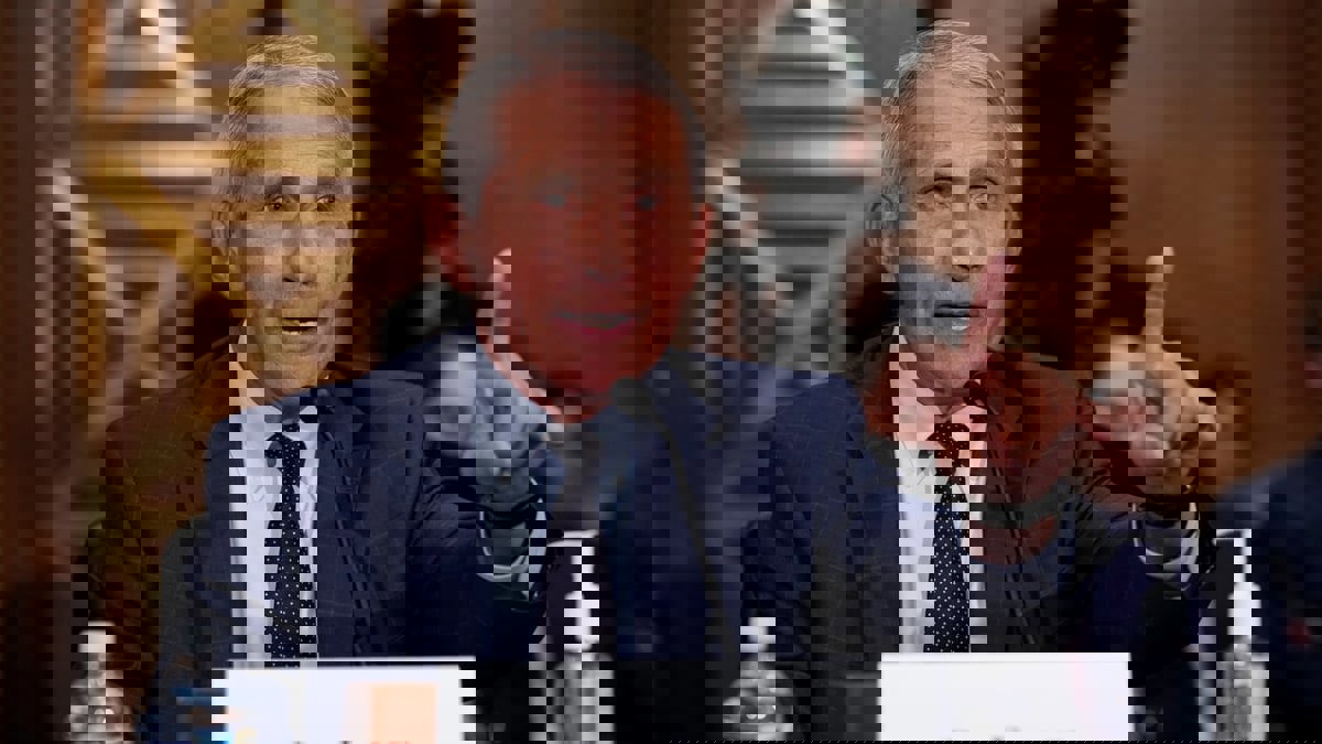 أمريكا.. أنتوني فاوتشي يقرر التنحي في ديسمبر